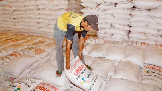 PT Pupuk Indonesia Reminds Farmers: Subsidized Fertilizers Can Only Be Boiled In Official Kiosks