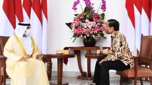 Presiden Jokowi Terima Kunjungan Delegasi Persatuan Emirat Arab