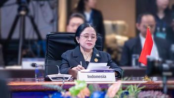 Active Role Of Speaker Of The House Of Representatives At The 2025 MiKTA Forum Strengthens Indonesian Diplomacy And Humanitarian Issues