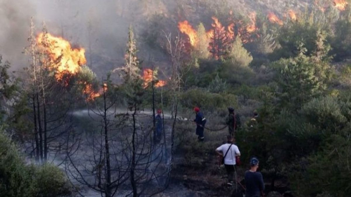 KLHK Claims Forest And Land Fire Areas In Indonesia Decreased 43 Percent In 2022