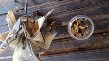 Pelajar di Bali Tewas Keracunan Kerupuk Ikan Buntal