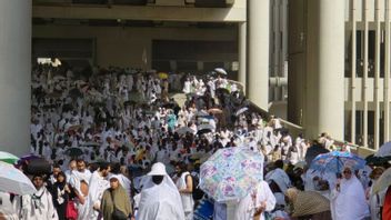 Kemenag Sebut Pengalihan 10 Ribu Kuota ke Haji Khusus Atas Simulasi Kementerian Haji Saudi
