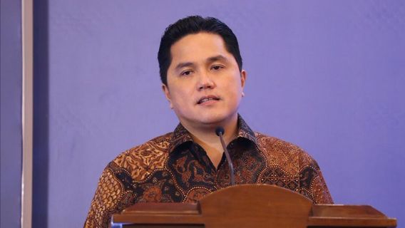 Erick Thohir Surati Menteri ESDM untuk Membantu PLN, Soal Apa?