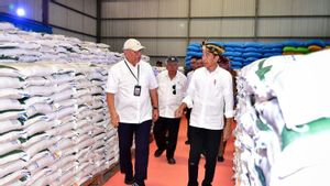 조코위 대통령은 쌀 수입량이 국가 수요의 5% 미만이라고 말했습니다.