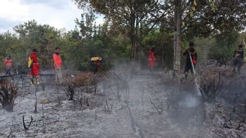The Last 6 Months Of Forest And Land Fires In Palangka Raya, Central Kalimantan, Killed 23 Hectares Of Land