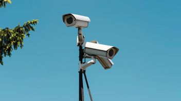 Suspect in the Death of a Wild Dog in Mataram