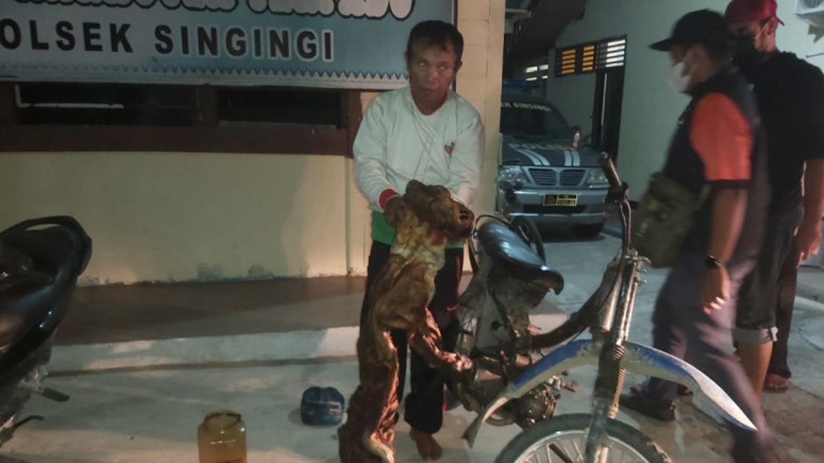 Penjualan Kulit Harimau dan Janin Rusa di Riau Berhasil Digagalkan