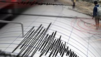 Kamis Malam, Gempa M 5,2 Guncang Tanimbar Maluku