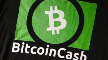 ستحصل Bitcoin Cash على أمان محسن في الشبكة في مايو 2023