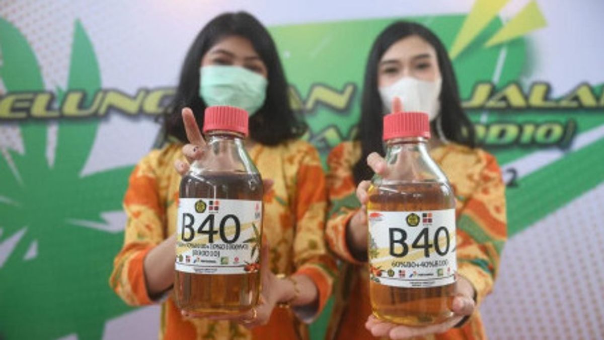 Sambut Program Biodiesel B40, Kadin Minta Pemerintah Beri Insentif bagi Pelaku Usaha