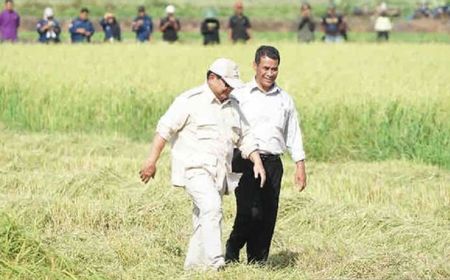 Kementan Targetkan Cetak 500 Ribu Hektare Sawah di Kalsel Dukung Swasembada Pangan