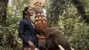 ar apik singgah Agung et Maudy Koesnaedi collaboration dans le nouvel Kebaya Balutan montre la beauté de Bali