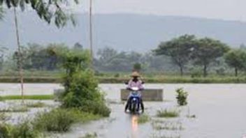 图隆贡的116公顷稻田被洪水破坏和淹没