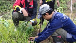 JBI Selenggarakan Gerakan Penanaman Bibit Pohon Bambu di Bantaran Sungai Ogan