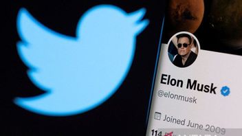 Lawsuit Against Twitter, Elon Musk Files 164 Pages