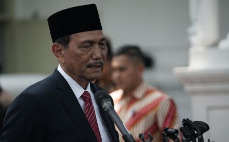 Luhut Ungkap Sejumlah Daerah Sudah Malas Testing karena Nol Kasus COVID-19