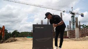 Luhut Ajak Elon Musk Peletakan Batu Pertama Pusat Penelitian Mangrove di Bali