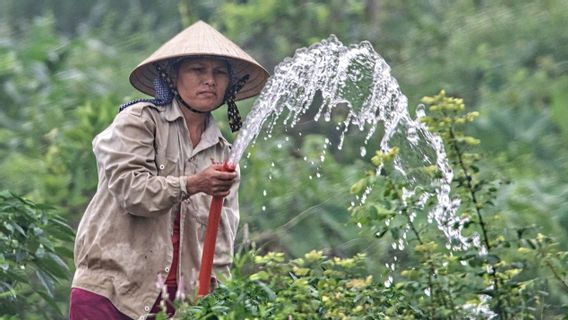 Une urgence compétitive, la Chambre des représentants qualifie le sort de la souveraineté alimentaire entre les mains du gouvernement Prabowo