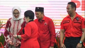 Balik Badan Dukung Airin Rachmi Diany, Manuver Menarik Partai Golkar di Pilkada Banten