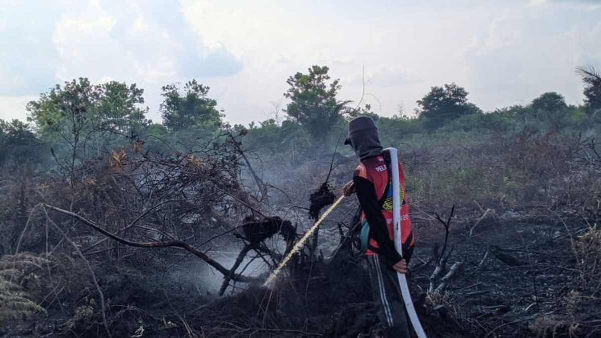 2 周内森林和陆地火灾,BPBD要求中苏拉威西岛居民提高警惕