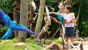 Bonne nouvelle, Ancol donne des billets d’entrée gratuits pour TNI et sa famille