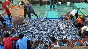Indonesia-China Have An Export Contract For Fishery Products Of 25 Million US Dollars