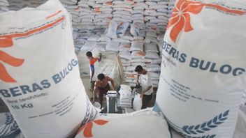 Acquisition Of Cambodian Rice Company, Bulog Reveals Entering The Study Stage And Improvement Of Infrastructure