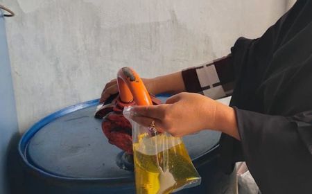 Saatnya Minyak Goreng Juga Jadi Wewenang Badan Pangan Nasional