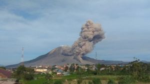Gunung Sinabung Semburkan Awan Panas Sejauh 2 Km