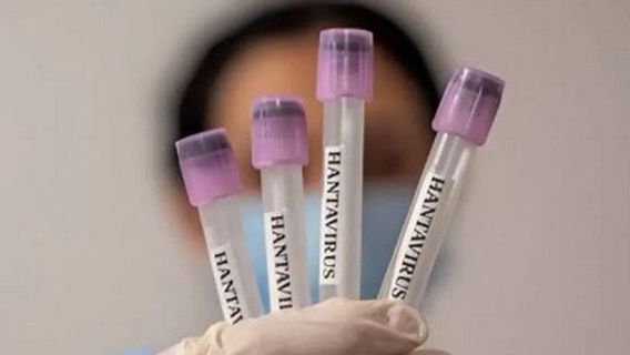 Un habitant de Java Timur positif à la hantavirus depuis janvier 2026