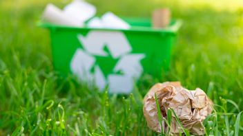 Contoh Sampah Organik dan Anorganik, Panduan Lengkap Beserta Cara Mengolahnya