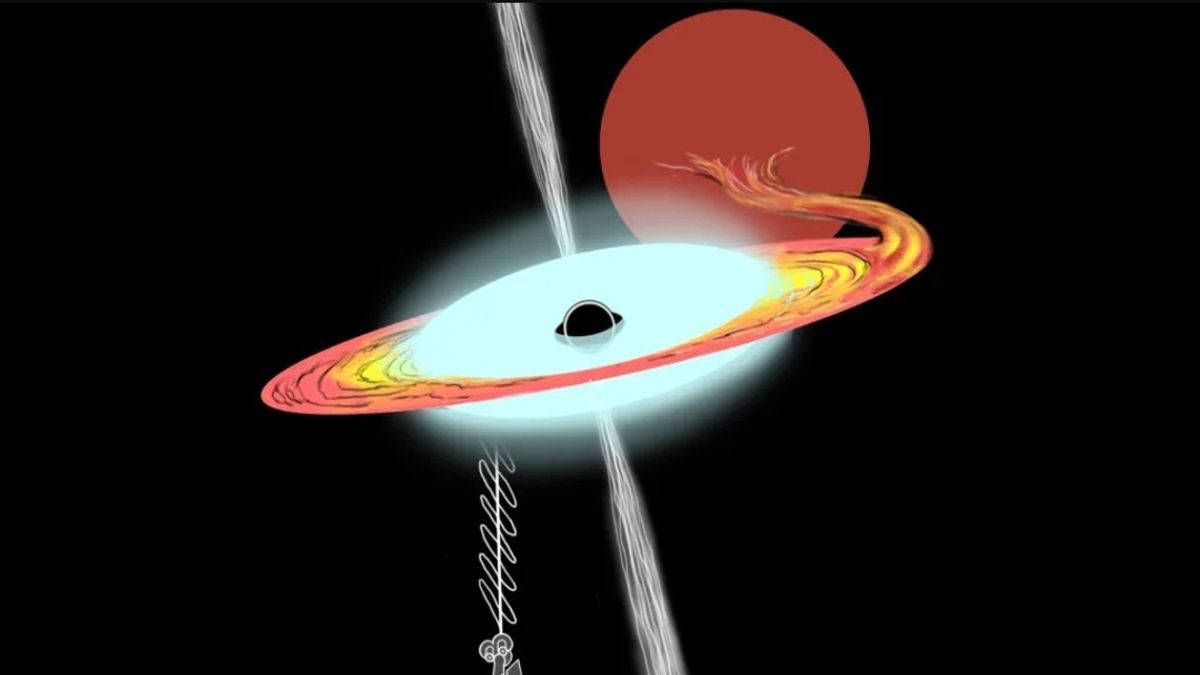 Astronom Temukan Lubang Hitam Baru Berkat Wahana IXPE NASA