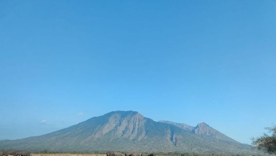 Forest And Land Fire Area In Baluran Situbondo National Park Reaches 88.66 Hectares