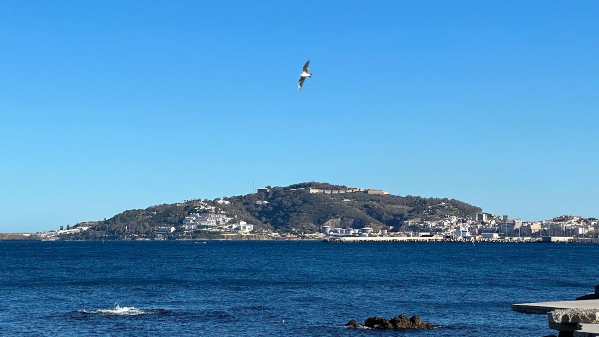 Le Maroc arrêté 152 "migrants illégaux" en Espagne