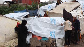 Yémen : 19 membres du personnel des Nations Unies : les Houthis sont pris en otage au Yémen