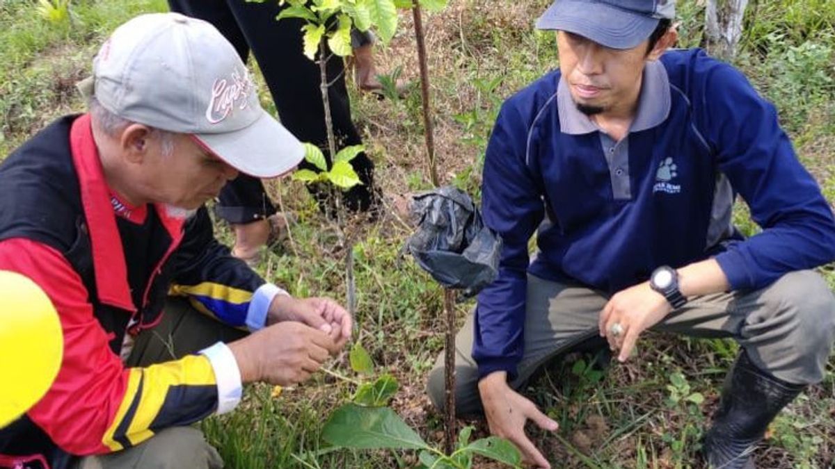 64.000 ha Hutan di Kabupaten OKU dalam Kondisi Kritis, Jejak Bumi Indonesia Gelar Gerakan Menanam Pohon