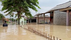 Banjir Karawang Disebabkan Luapan Sungai Citarum dan Cibeet