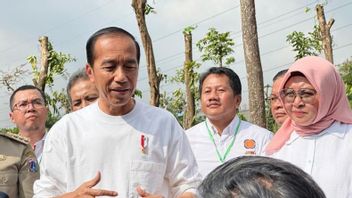 Presiden Jokowi Tolak Tanggapi Kritik Megawati yang Jengkel dengan Penguasa Bertindak Orde Baru