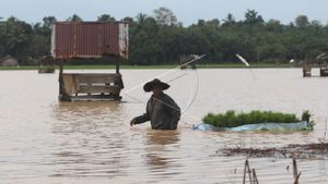 6.265 Hektare Lahan Padi Petani di Aceh Terdampak Banjir