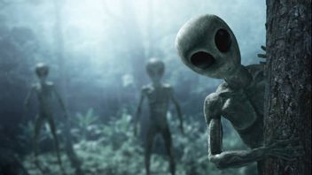 Scottish Scientists Prepare Protocol Plan If Humans Meet Aliens On Earth