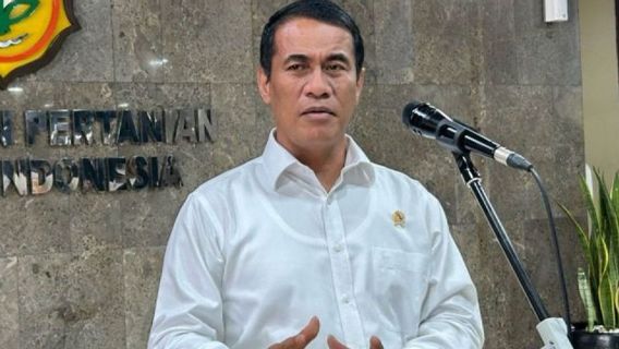 Mentan Amran Lapor ke Prabowo soal Stok Pangan Nasional: Cadangan Beras Mencukupi hingga Akhir Tahun