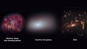 Mengenal Galaksi Monster Langka yang Hidup di Awal Terciptanya Alam Semesta