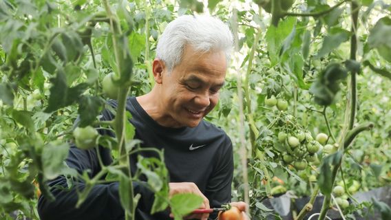 Bahas Ketahanan Pangan, Ganjar Diskusi Serius dengan Petani Milenial Cianjur