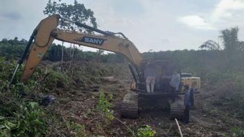 La police arrête le bois de la forêt de Bukit Rimbang Baling Riau