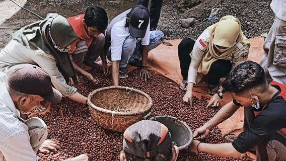 Through Noscop, APUDSI is Ready to Bring Village Commodities to International Markets