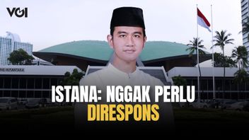 Surat Pemakzulan Gibran Sudah di DPR, Istana Tak Ingin Merespons