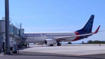 Pesawat Sriwijaya Air SJ-182 Buatan Tahun 1994, KNKT: Berapa pun Umurnya, Kalau Dirawat Tak Ada Masalah