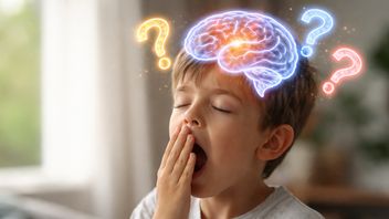 This is what happens to the brain when you yawn: Here's the scientific explanation