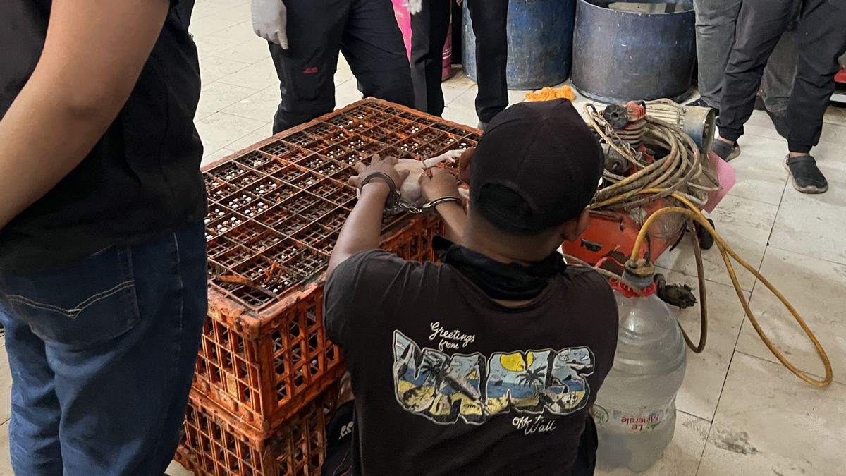Aneh! Bos Ayam Gelonggongan di Pasar Kebayoran Lama Berstatus Saksi, Anak Buahnya yang Jadi Tersangka