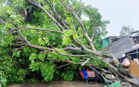 BPBD Kabupaten Bogor Catat 8 Bencana Akibat Angin Kencang, Tidak Ada Korban Jiwa